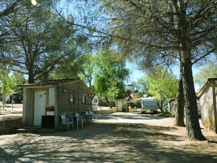 Parcela con sombra de pinos