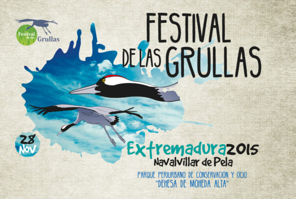 Festival de las Grullas 2015 Navalvillas de Pela