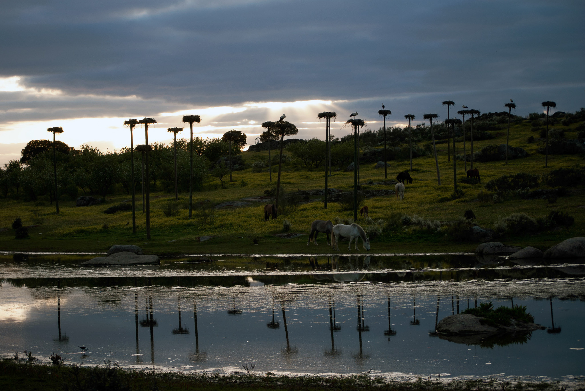 5 lugares imprescindibles a menos de 100km del Camping Cáceres